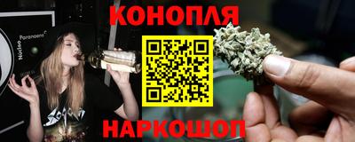твердый Кингисепп