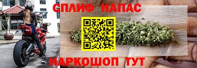 твердый Кингисепп