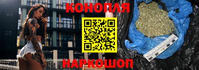 твердый Кингисепп