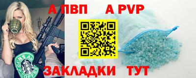 твердый Кингисепп