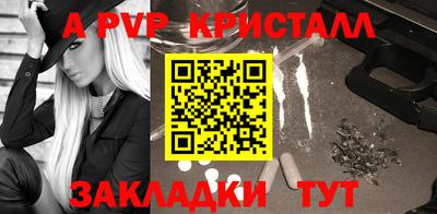 твердый Кингисепп