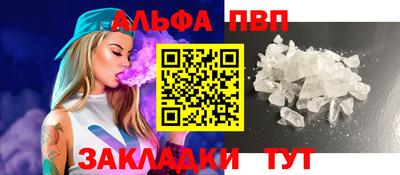 твердый Кингисепп