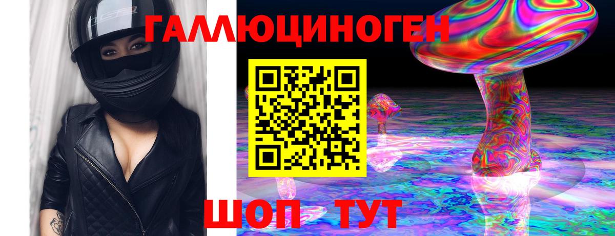 Псилоцибиновые грибы Psilocybine cubensis Кстово